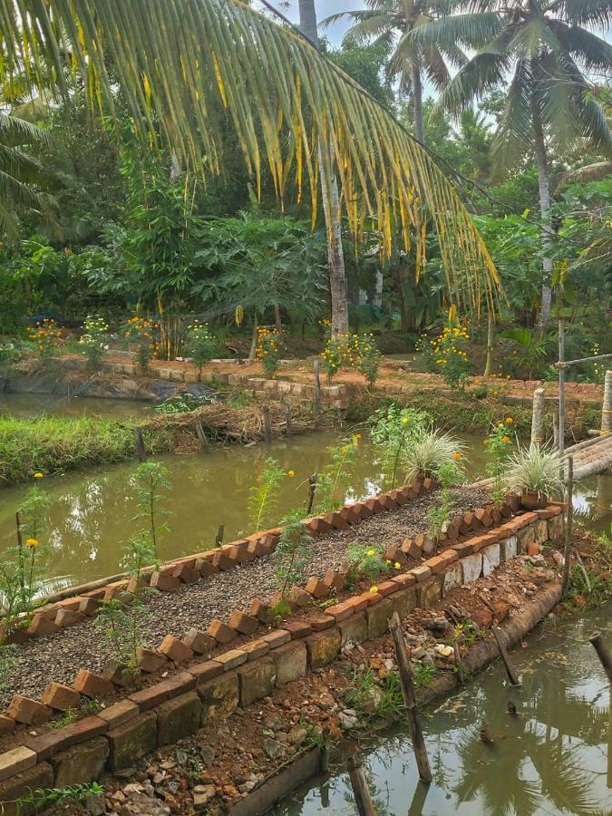 كوتايم Thomman'S Farm Stay المظهر الخارجي الصورة