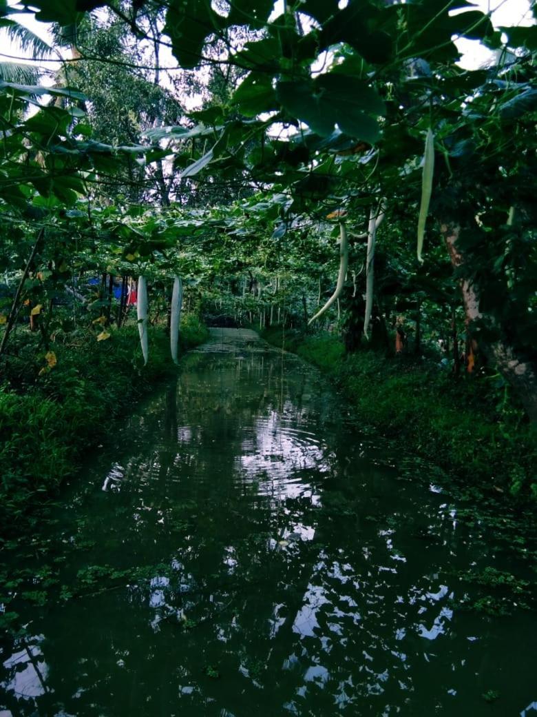 كوتايم Thomman'S Farm Stay المظهر الخارجي الصورة