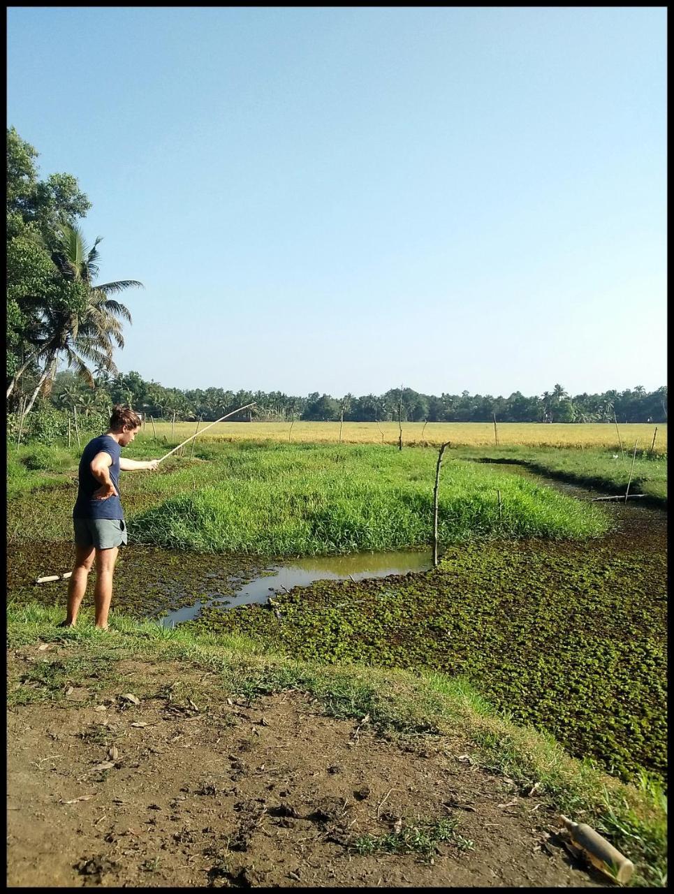 كوتايم Thomman'S Farm Stay المظهر الخارجي الصورة