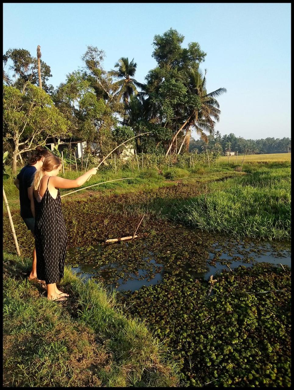 كوتايم Thomman'S Farm Stay المظهر الخارجي الصورة