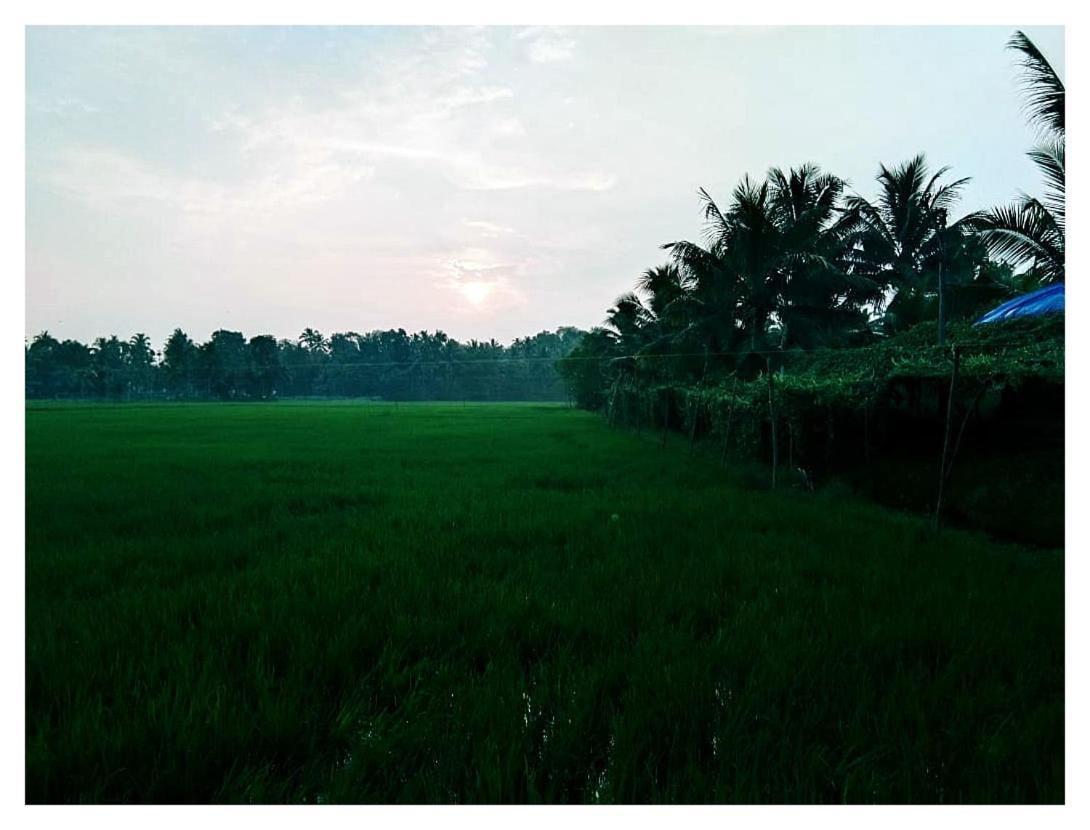 كوتايم Thomman'S Farm Stay المظهر الخارجي الصورة