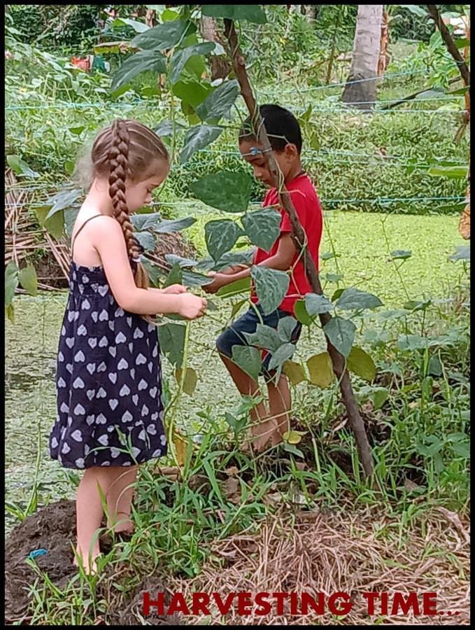 كوتايم Thomman'S Farm Stay المظهر الخارجي الصورة